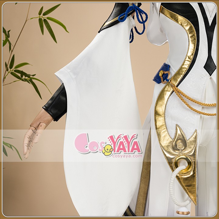 美しいコスプレ衣装